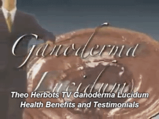 giphytheo-herbots-tv-ganoderma-lucidum-health-benefits-and-testimonials